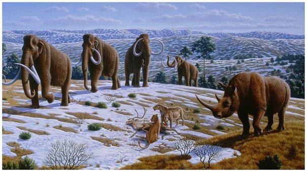ultimos-mamuts-de-alaska-mur